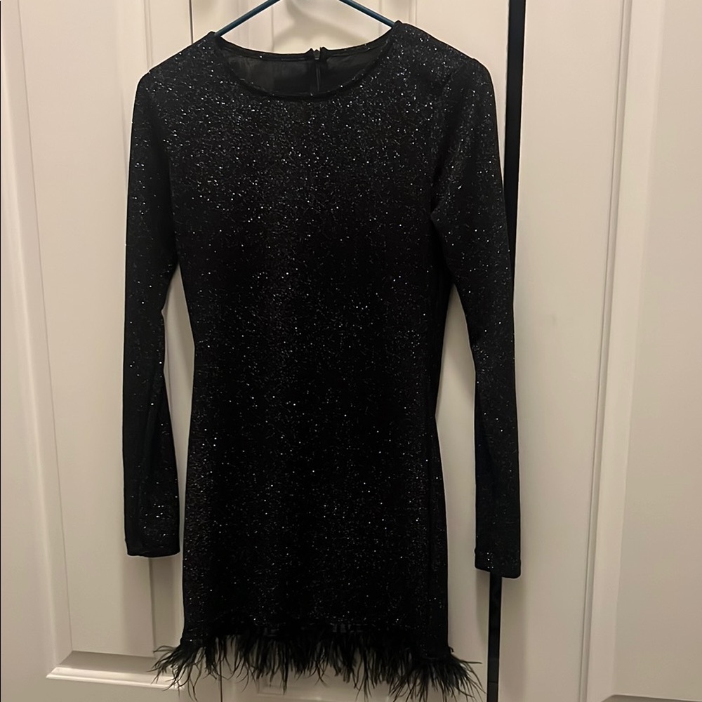 Elegant Black Long Sleeve Dress with feather bottom